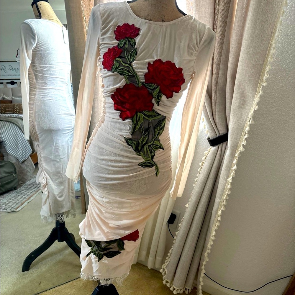Bodycon Mesh/ Lace Appliquéd Dress